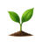 Sprout Studio