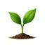Sprout Studio